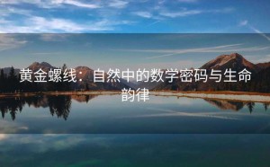 黄金螺线:自然中的数学密码与生命韵律