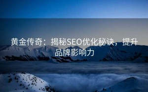 黄金传奇:揭秘SEO优化秘诀,提升品牌影响力