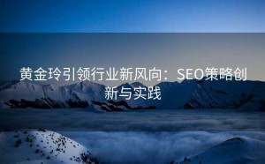 黄金玲引领行业新风向:SEO策略创新与实践