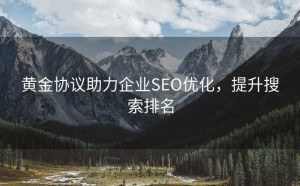 黄金协议助力企业SEO优化,提升搜索排名