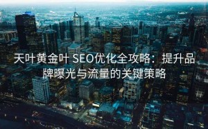 天叶黄金叶 SEO优化全攻略:提升品牌曝光与流量的关键策略