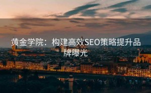 黄金学院:构建高效SEO策略提升品牌曝光