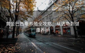 黄金巴西龟养殖全攻略:从选龟到健康养护