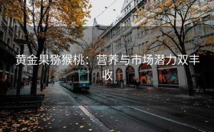 黄金果猕猴桃:营养与市场潜力双丰收