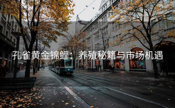 孔雀黄金锦鲤：养殖秘籍与市场机遇