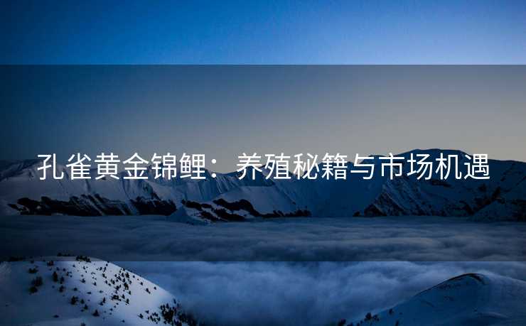 孔雀黄金锦鲤：养殖秘籍与市场机遇