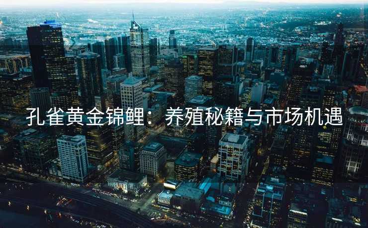 孔雀黄金锦鲤：养殖秘籍与市场机遇