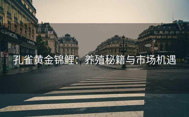 孔雀黄金锦鲤：养殖秘籍与市场机遇