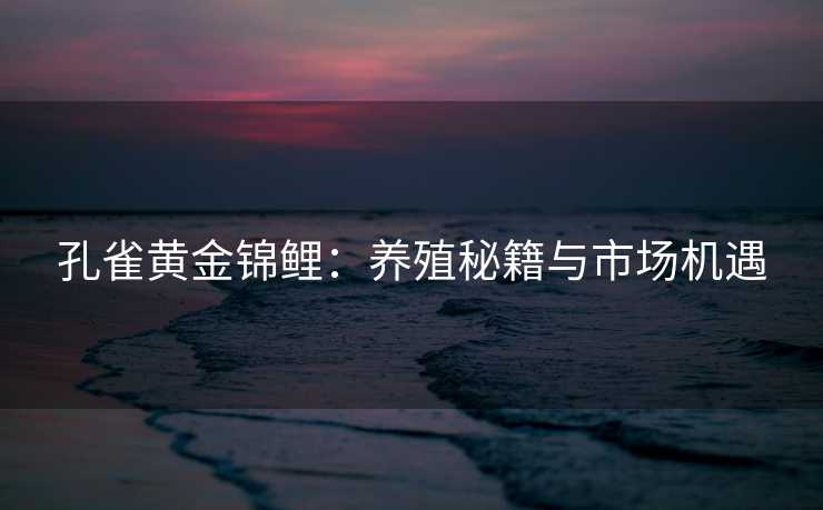 孔雀黄金锦鲤:养殖秘籍与市场机遇 孔雀黄金锦鲤:养殖秘籍与市场机遇