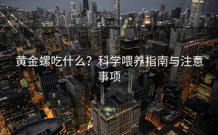 黄金螺吃什么？科学喂养指南与注意事项