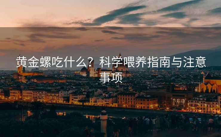 黄金螺吃什么？科学喂养指南与注意事项
