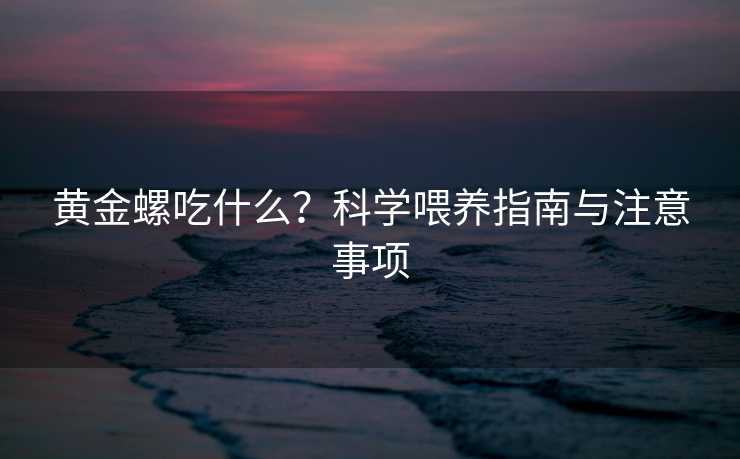 黄金螺吃什么？科学喂养指南与注意事项