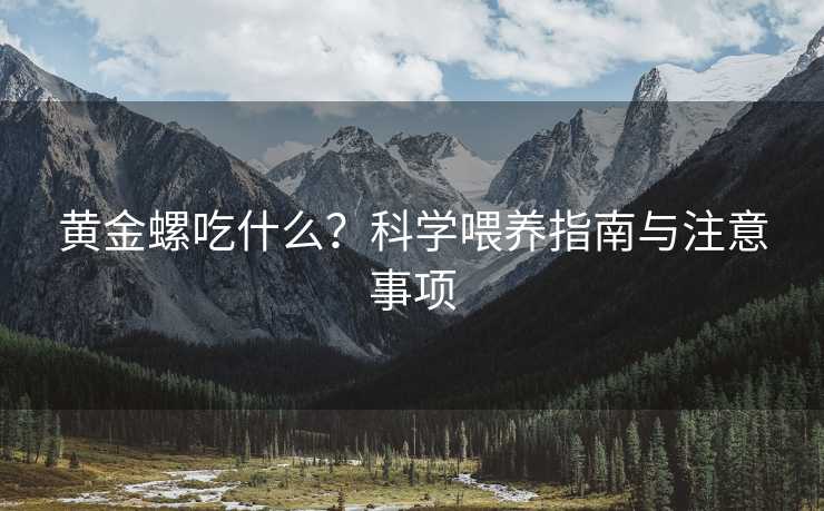 黄金螺吃什么？科学喂养指南与注意事项