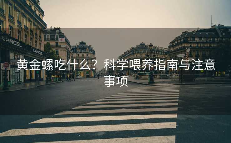 黄金螺吃什么？科学喂养指南与注意事项