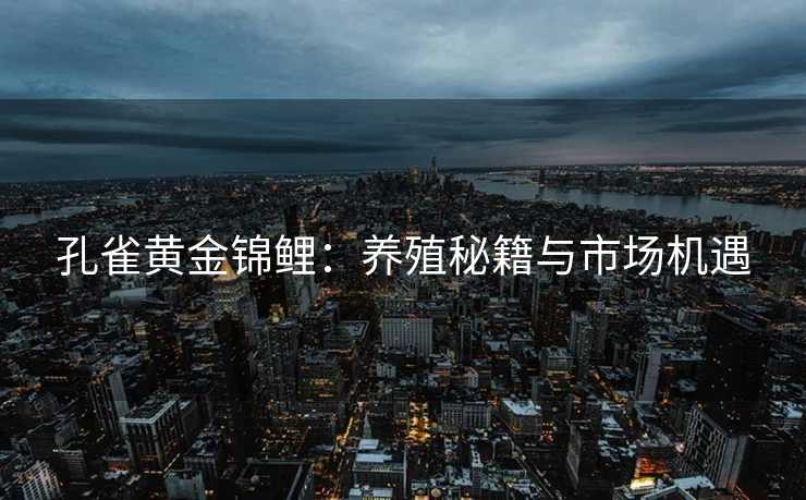 孔雀黄金锦鲤:养殖秘籍与市场机遇 孔雀黄金锦鲤:养殖秘籍与市场机遇