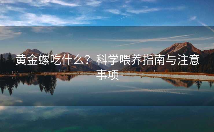 黄金螺吃什么?科学喂养指南与注意事项 黄金螺吃什么?科学喂养指南与注意事项