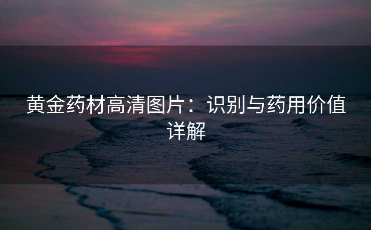 黄金药材高清图片:识别与药用价值详解 黄金药材高清图片:识别与药用价值详解