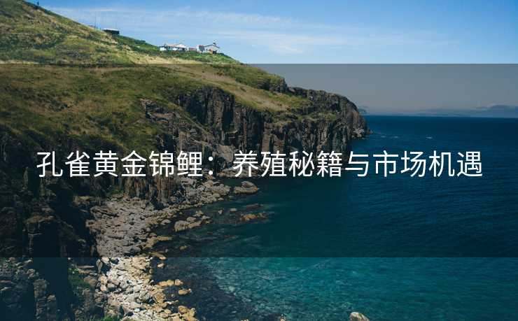 孔雀黄金锦鲤:养殖秘籍与市场机遇 孔雀黄金锦鲤:养殖秘籍与市场机遇