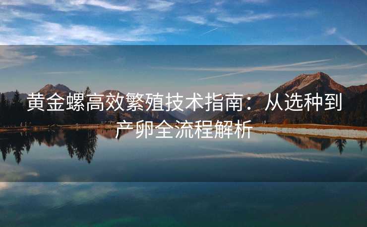 黄金螺高效繁殖技术指南:从选种到产卵全流程解析 黄金螺高效繁殖技术指南:从选种到产卵全流程解析