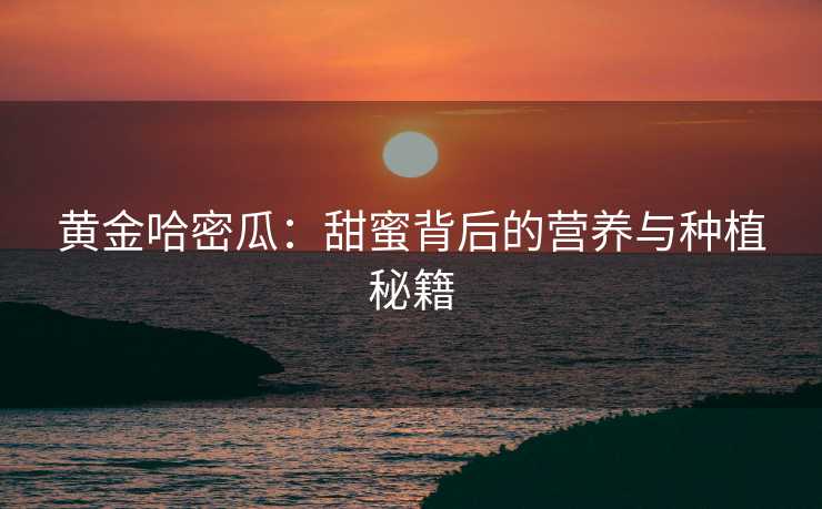 黄金哈密瓜:甜蜜背后的营养与种植秘籍 黄金哈密瓜:甜蜜背后的营养与种植秘籍