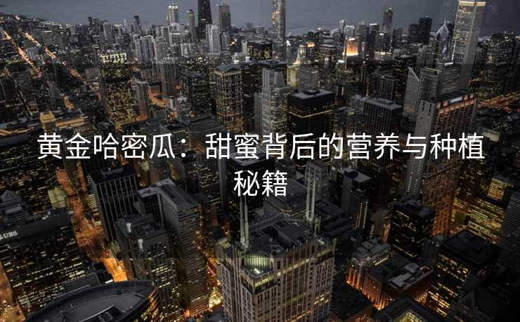 黄金哈密瓜:甜蜜背后的营养与种植秘籍 黄金哈密瓜:甜蜜背后的营养与种植秘籍