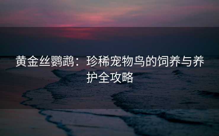 黄金丝鹦鹉:珍稀宠物鸟的饲养与养护全攻略 黄金丝鹦鹉:珍稀宠物鸟的饲养与养护全攻略