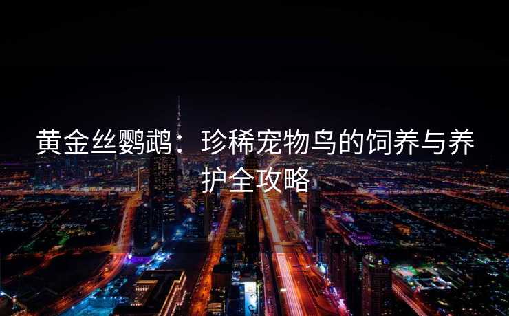 黄金丝鹦鹉:珍稀宠物鸟的饲养与养护全攻略 黄金丝鹦鹉:珍稀宠物鸟的饲养与养护全攻略