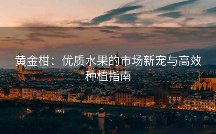 黄金柑：优质水果的市场新宠与高效种植指南