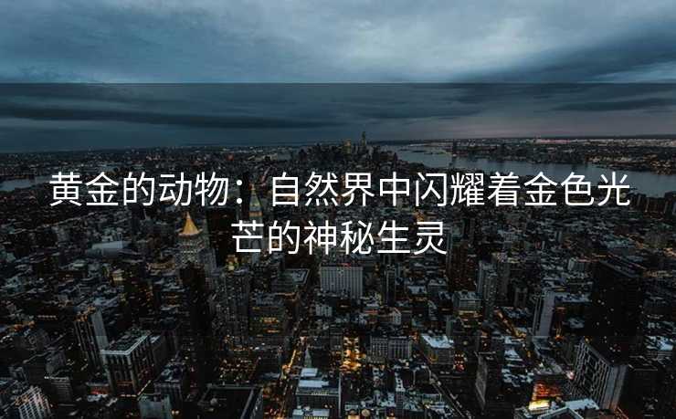 黄金的动物：自然界中闪耀着金色光芒的神秘生灵