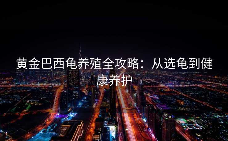 黄金巴西龟养殖全攻略：从选龟到健康养护