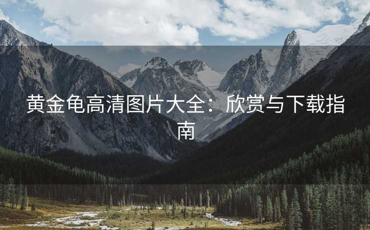 黄金龟高清图片大全:欣赏与下载指南 黄金龟高清图片大全:欣赏与下载指南