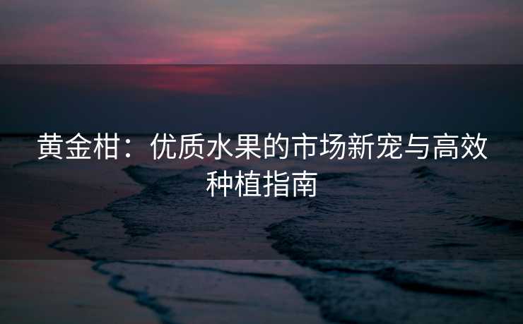 黄金柑：优质水果的市场新宠与高效种植指南