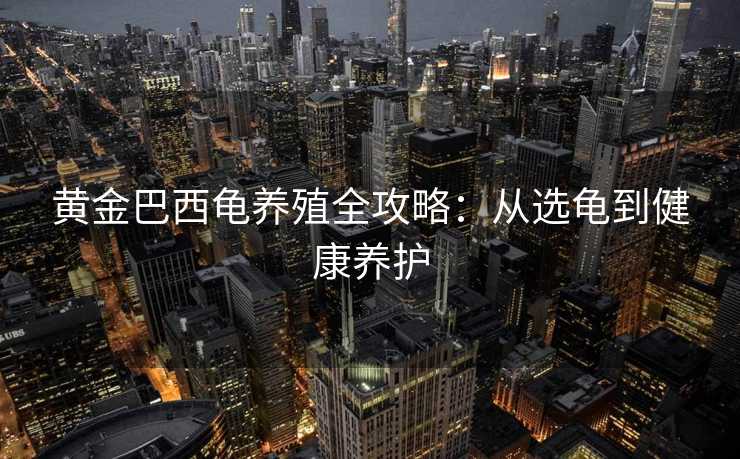 黄金巴西龟养殖全攻略：从选龟到健康养护