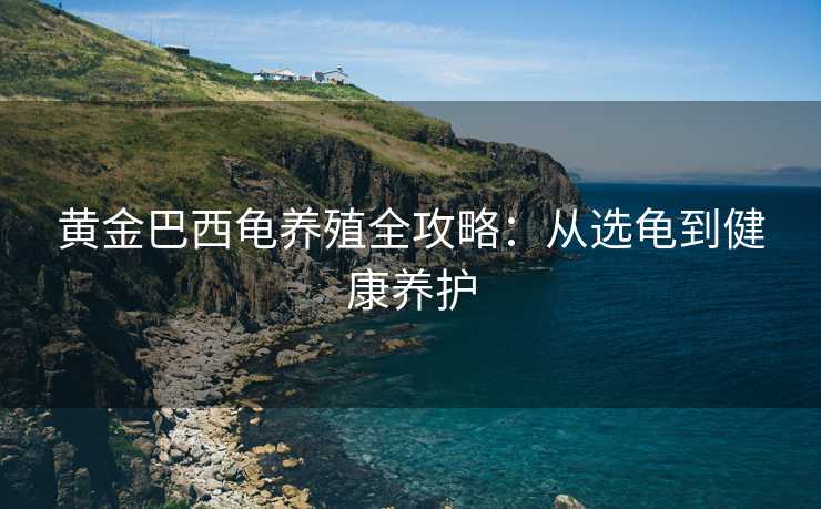 黄金巴西龟养殖全攻略：从选龟到健康养护
