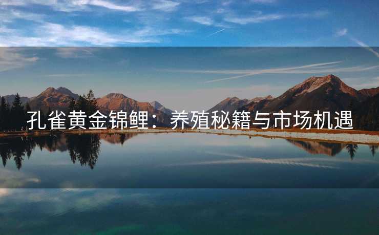 孔雀黄金锦鲤:养殖秘籍与市场机遇 孔雀黄金锦鲤:养殖秘籍与市场机遇