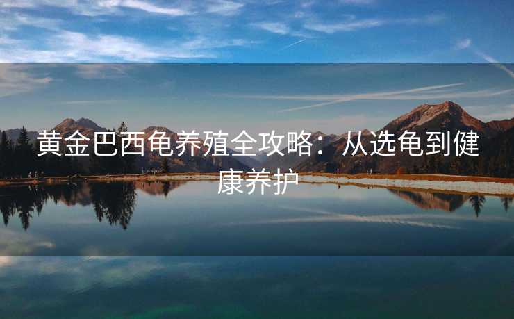 黄金巴西龟养殖全攻略：从选龟到健康养护