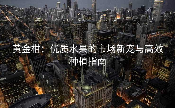 黄金柑：优质水果的市场新宠与高效种植指南