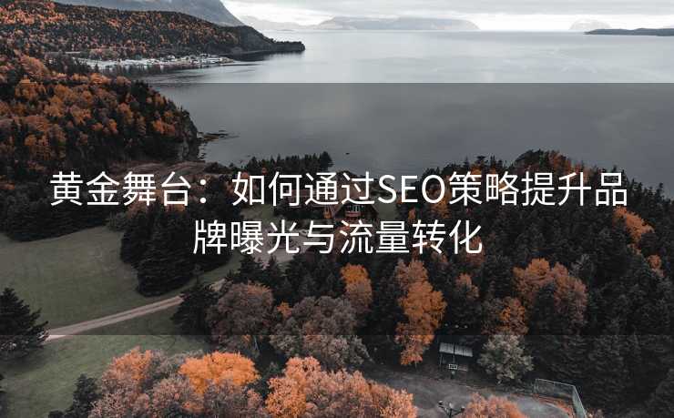 黄金舞台：如何通过SEO策略提升品牌曝光与流量转化