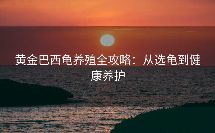 黄金巴西龟养殖全攻略：从选龟到健康养护