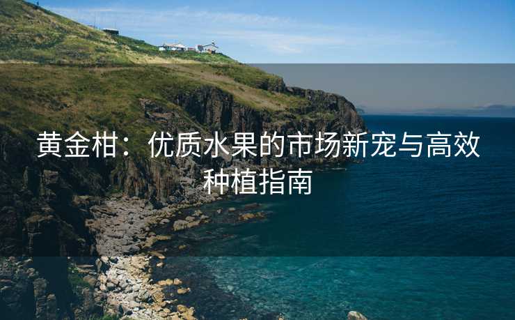 黄金柑：优质水果的市场新宠与高效种植指南