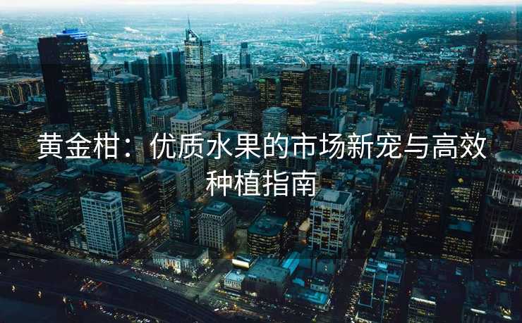 黄金柑：优质水果的市场新宠与高效种植指南