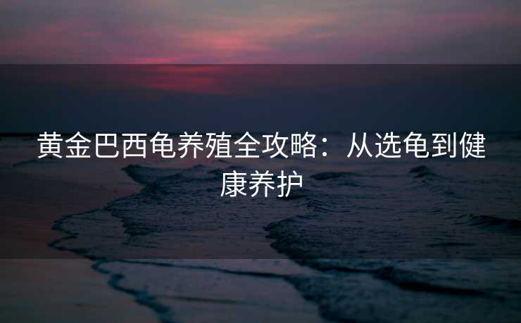 黄金巴西龟养殖全攻略：从选龟到健康养护