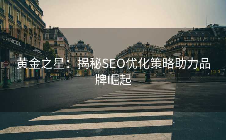 黄金之星：揭秘SEO优化策略助力品牌崛起