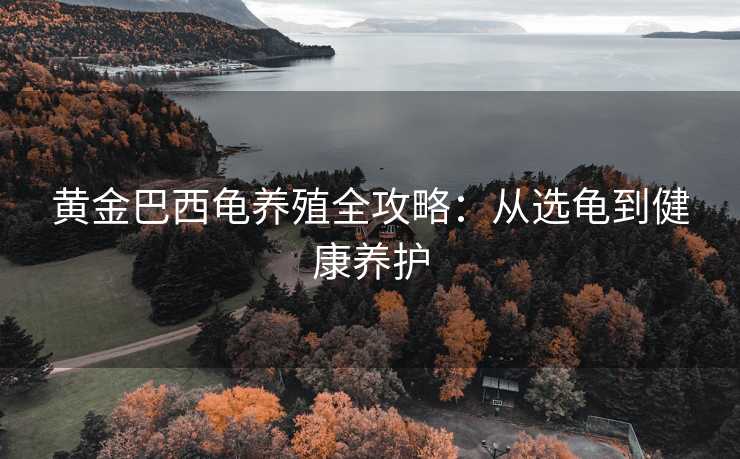 黄金巴西龟养殖全攻略：从选龟到健康养护