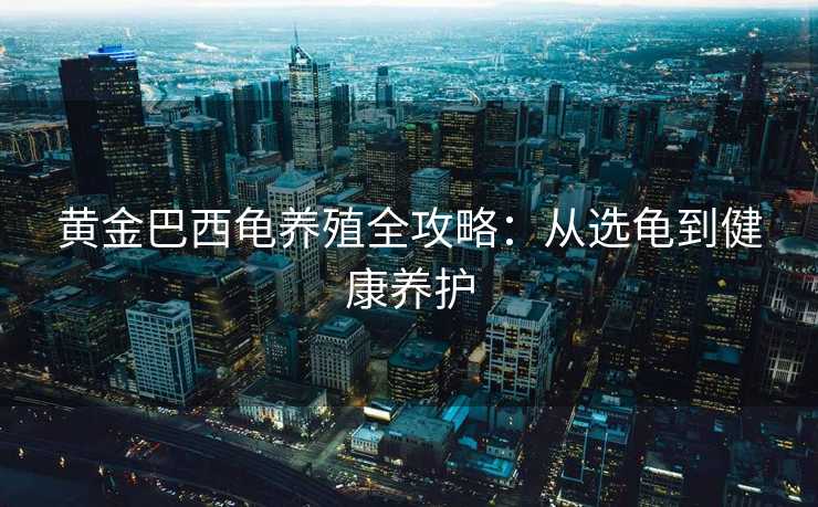 黄金巴西龟养殖全攻略：从选龟到健康养护