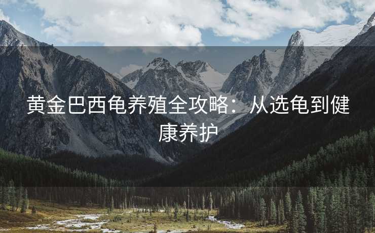 黄金巴西龟养殖全攻略：从选龟到健康养护