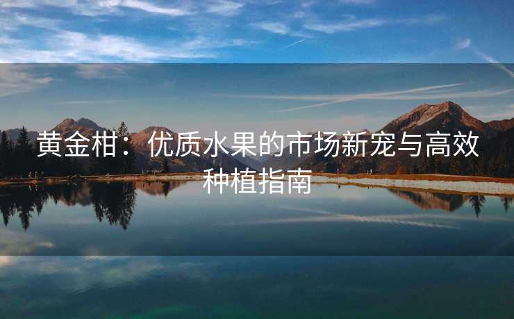 黄金柑：优质水果的市场新宠与高效种植指南