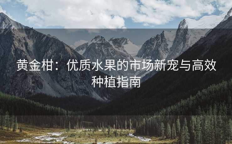 黄金柑：优质水果的市场新宠与高效种植指南