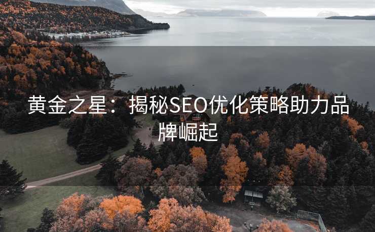 黄金之星：揭秘SEO优化策略助力品牌崛起