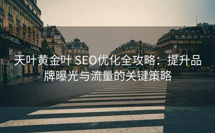 天叶黄金叶 SEO优化全攻略：提升品牌曝光与流量的关键策略